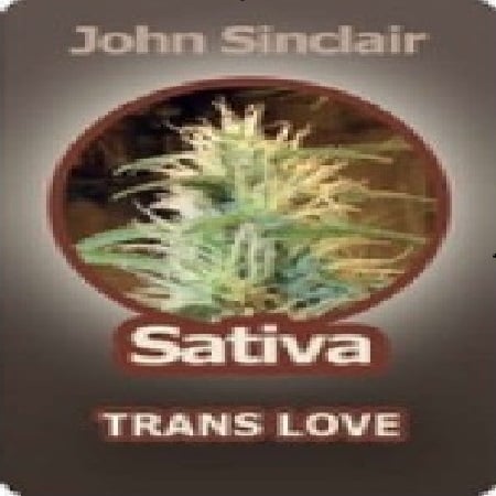 John Sinclair Seeds Sativa Trans-Love Feminized