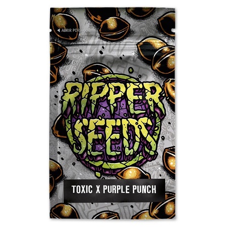 Toxic x Purple Punch - Feminized - Ripper Seeds