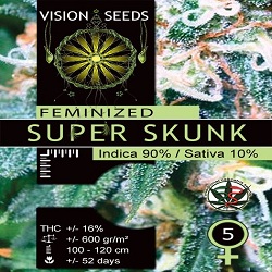 Vision Seeds Super Skunk Feminized