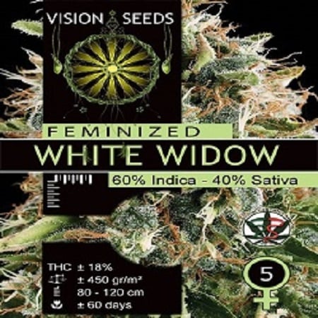 Vision Seeds White Widow Feminised