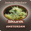 John Sinclair Seeds Skunk Amsterdam Feminised