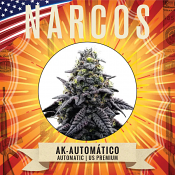 Narcos Seedbank - AK-47 Automatico Feminized