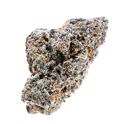 Terp Farmz - Blue Nerdz Auto - Feminised