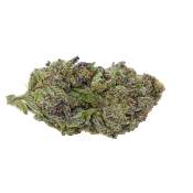 Growers Choice - Blue Zeclair Feminised