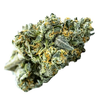 Terp Farmz - Blue Zushi Auto - Feminised