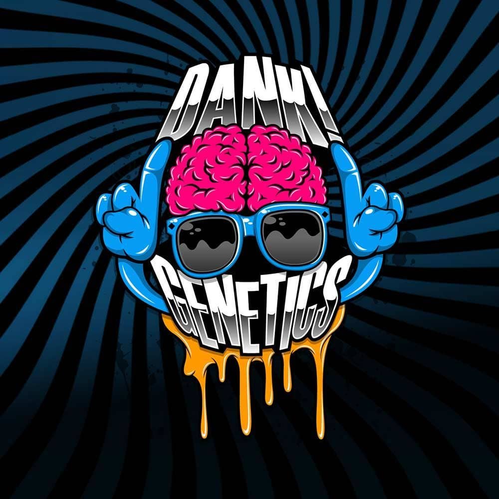 Dank Genetics Seeds Dank Bananas Feminized 