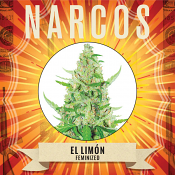 Narcos Seedbank - El Limon Feminized