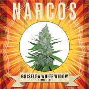 Narcos Seedbank - Griselda White Widow Feminized