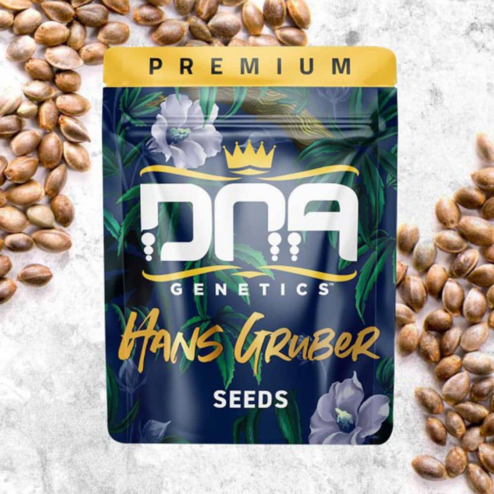DNA Genetics - Hans Gruber Feminized Cannabis Seeds