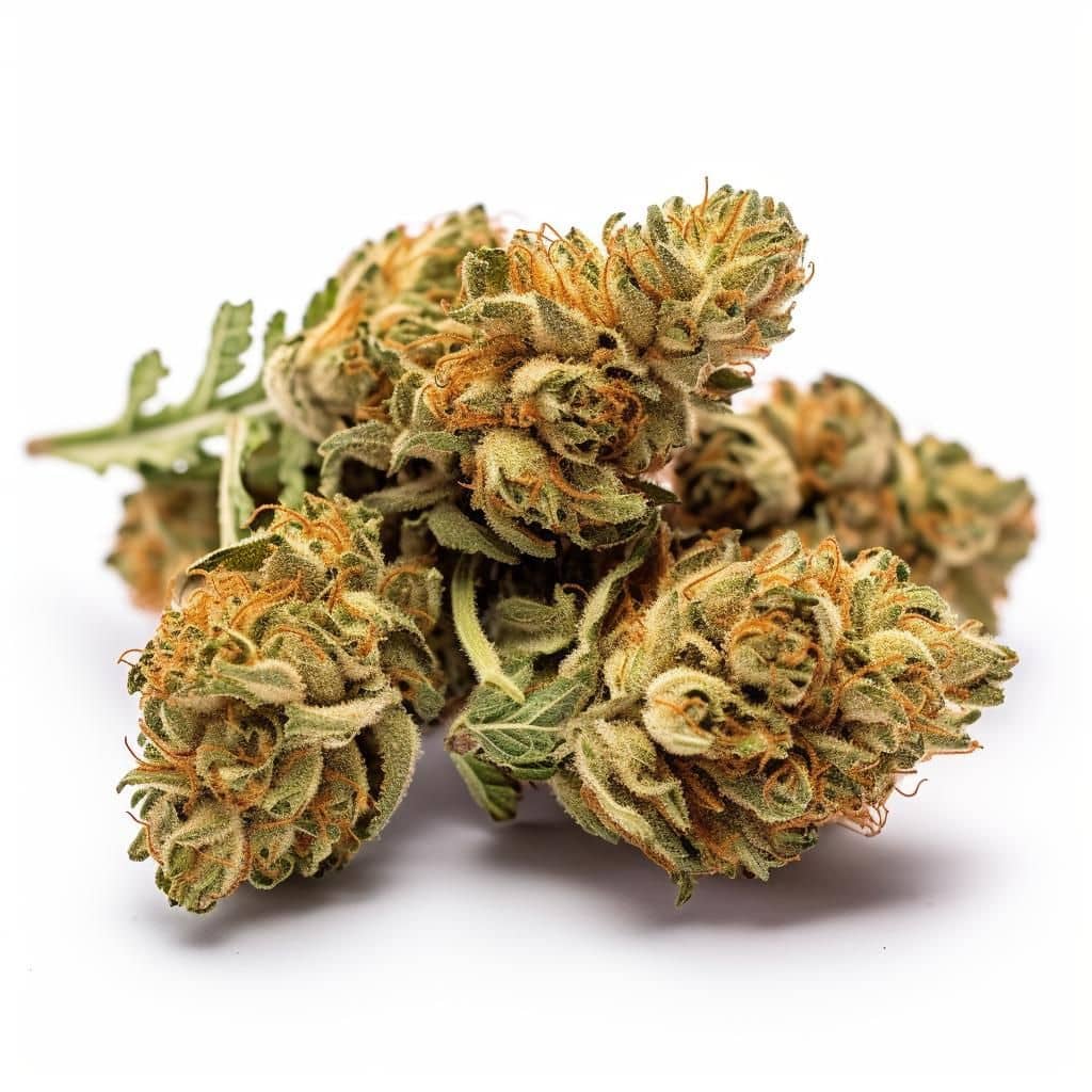 High THC Titans Cake Batter Feminised    