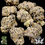 In House Genetics Cherry Royal - Feminized