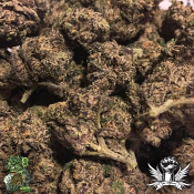 In House Genetics Platinum Gelato - Feminized