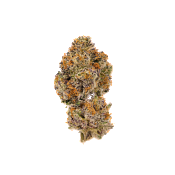 Growers Choice - Lemon Cherry Mochi Feminised