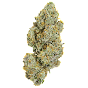 Growers Choice  - Limited Edition Cherry 7up Auto - Feminized