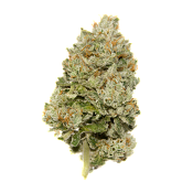 Growers Choice  - Limited Edition Lemon Zkittlez Auto - Feminized