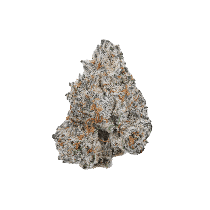 Limited Edition Blue Zushi- Feminized - Growers Choice  