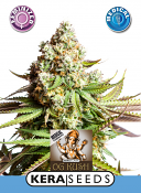 Kera Seeds - Medical OG Kush Feminized