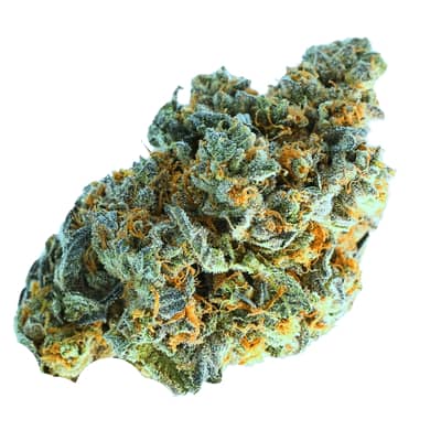 Terp Farmz - Minted Oreoz - Feminised