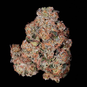 Soma Seeds Pink Glue - Feminised