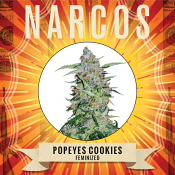 Narcos Seedbank - Popeyes Cookies Feminized
