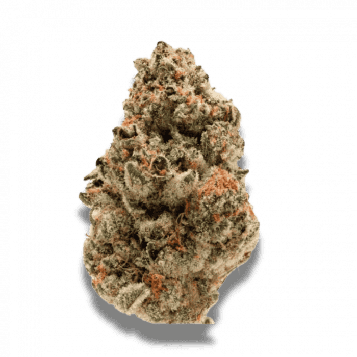 Growers Choice - Rainbow Candy Auto - Feminised