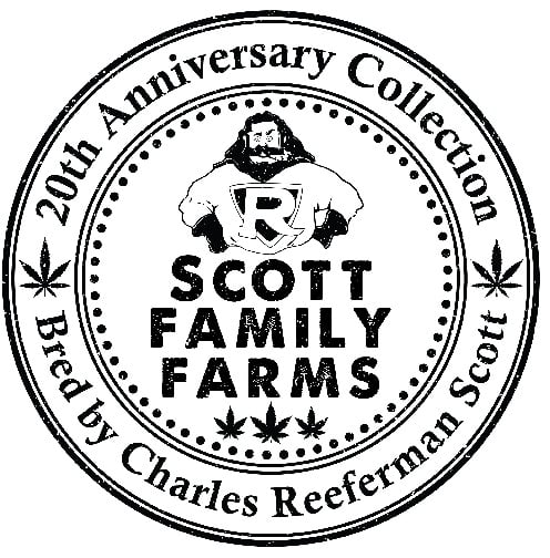 Scott Family Farms Hau Bac x 2 Way Haze Regular  