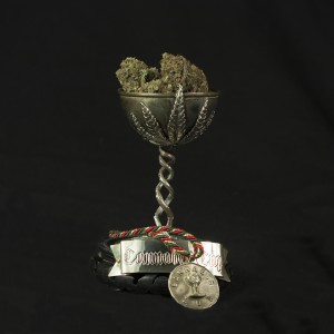 Devil's Harvest Original Shore Thing Feminized 