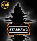 Seed Stockers Seeds Stardawg (Manny Cut) Auto Feminized