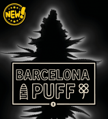 Seed Stockers Seeds - Superior Barcelona Puff Auto Feminized