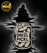Seed Stockers - Superior Drizl Pickl Feminized