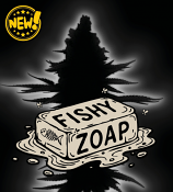 Seed Stockers Seeds - Superior Fishy Zoap Feminized