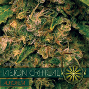 Vision Seeds - Vision Critical Auto Feminized