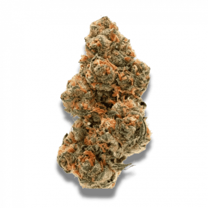 Weddingcake x Frosty Gelato Double XL Auto - Feminized - Growers Choice