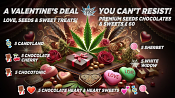 2025 Cannabis Seed Collection - VALENTINE'S DEAL
