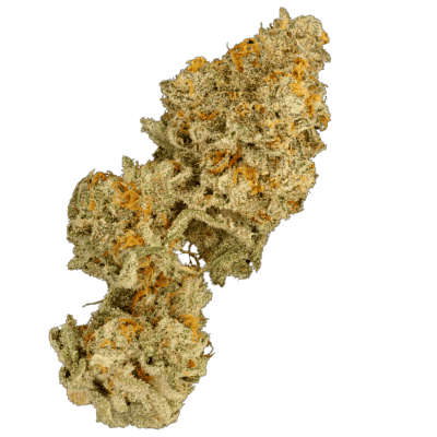 Terp Farmz - Zinger Cake - Feminised