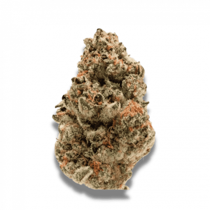 Zkittlez - Feminised - Growers Choice Seeds