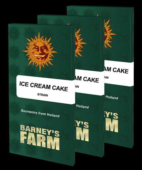 Barney's Farm Seeds Ice Cream Cake Feminized 