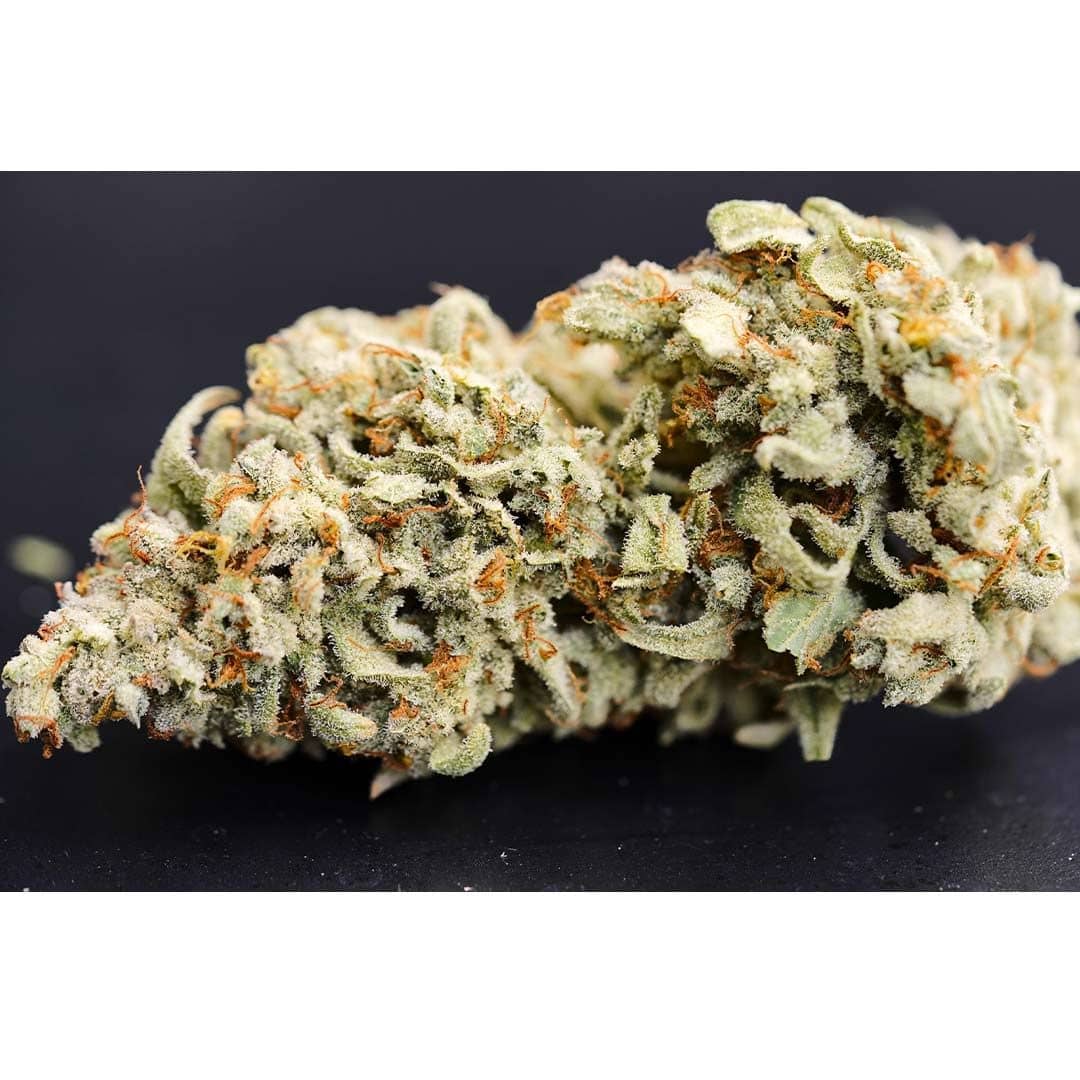 Dessert Isle Auto- Feminized - Night Owl Seeds  