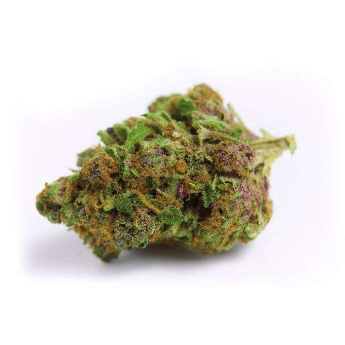 Red Banana Berry - Feminized - Growers Choice  
