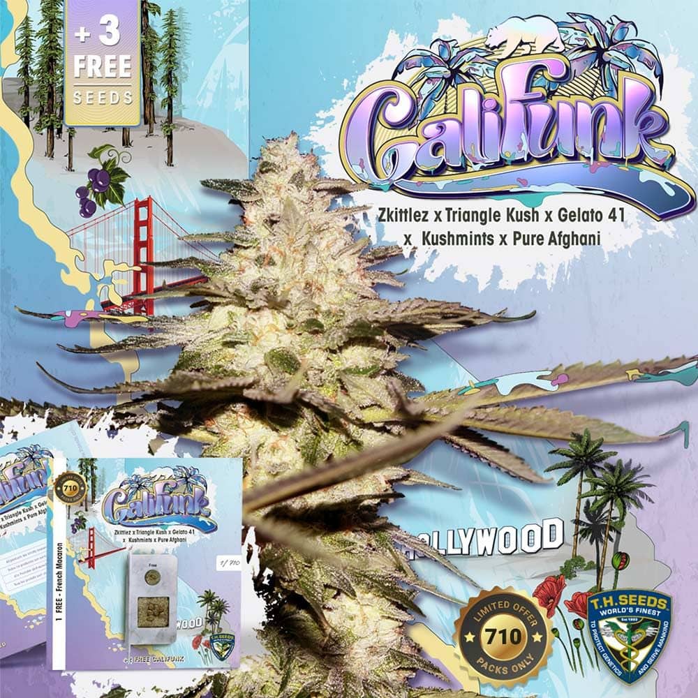 T.H.Seeds CaliFunk Feminised 