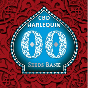 Harlequin CBD - Feminized - OO Seeds