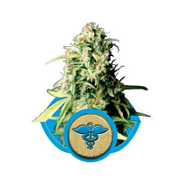 Royal Medic – Feminized – Royal Queen Seeds