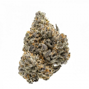 Rainbow Runtz - Feminized - Growers Choice