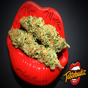MAC Muffin Auto - Feminized - TasteBudz