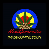 Next Generation Seeds Timewarp Diesel Regular