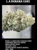 LA Banana Cake - Feminized - Black Farm Genetix