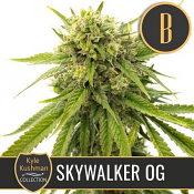 Kyle Kushman's Skywalker OG - Feminized - BlimBurn Seeds