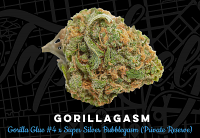 Top Shelf Elite Seeds Gorillagasm Feminized