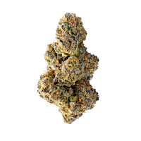 Colossal Purps - Feminized - Mega Buds