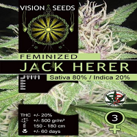 Vision Seeds Jack Herer Feminized